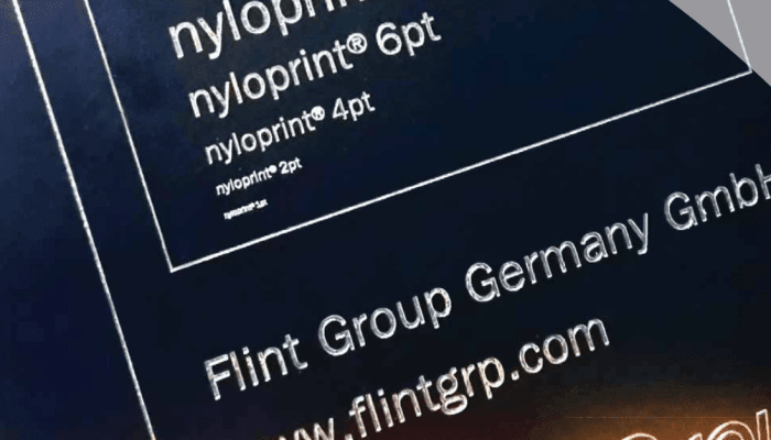 nyloprint DLE